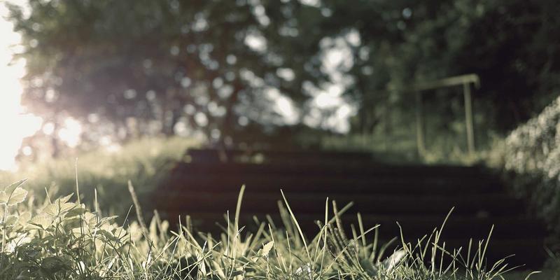 2024年电子竞技赛事日程全览：PC游戏焦点赛事与热门战队夺冠预测 | Gaming Forum 深度解析