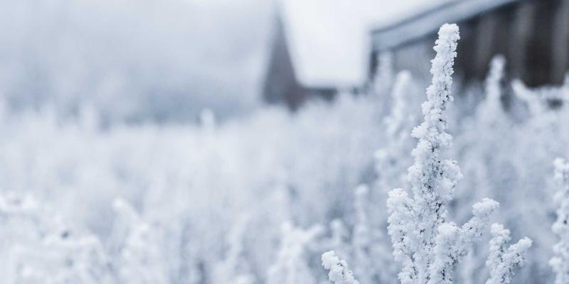 ANGKA7领航移动游戏资讯新风向：深度解析与必玩推荐