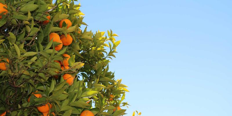 Gaming News入门指南：从玩家社区与游戏论坛开启你的游戏资讯之旅