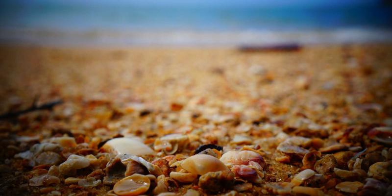 PC Games与Mobile Games开发者必读：在Steam新品海啸中生存并脱颖而出的终极营销指南