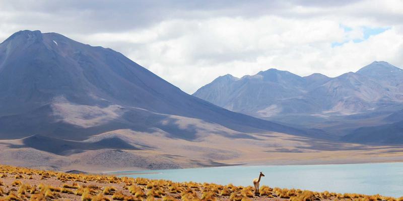 从《博德之门3》的成功看CRPG复兴：玩家社区、游戏新闻与移动浪潮下的演变