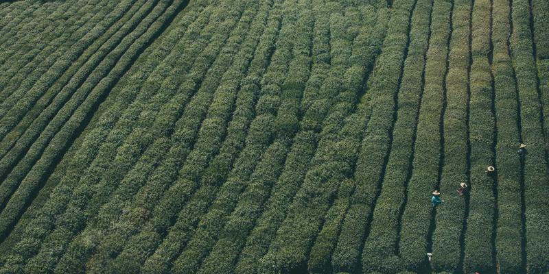 怀旧经济崛起：复古像素风Console Games的市场吸引力与设计哲学