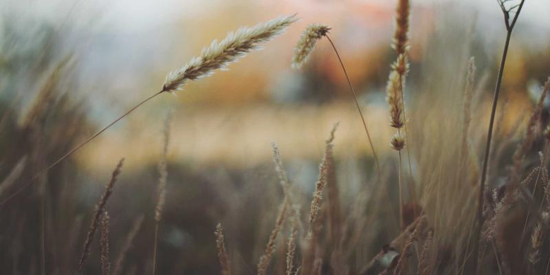 游戏新闻23：主机游戏动态、深度评测与行业风向