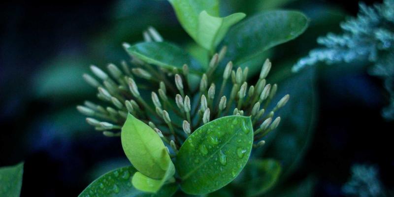 玩家社区、移动游戏与评测：掌握游戏资讯获取的三大核心技巧