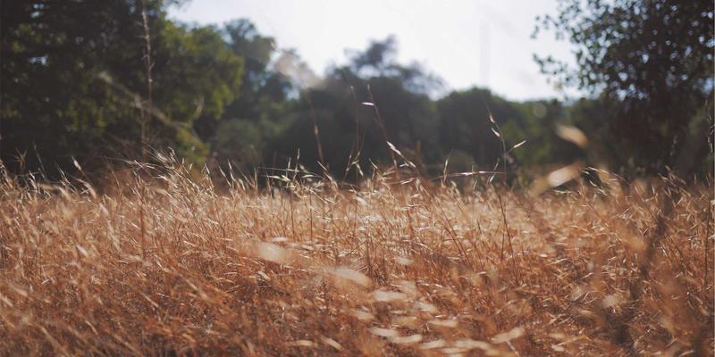 跨平台游戏革命：技术障碍破除如何重塑玩家社区与竞技公平性 | Gaming Forum深度解析